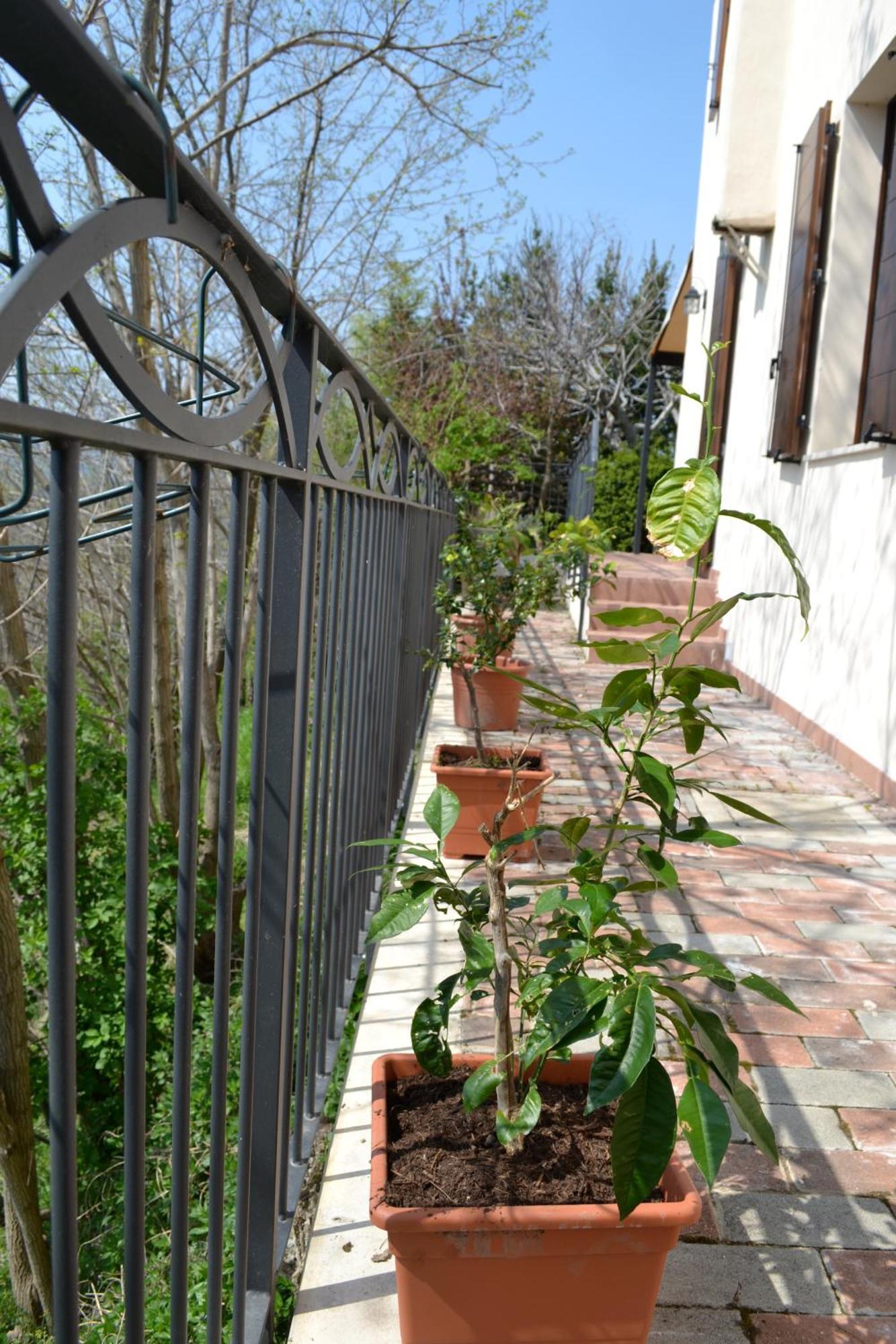 B&B Cà Biocco Sogliano al Rubicone Exterior foto
