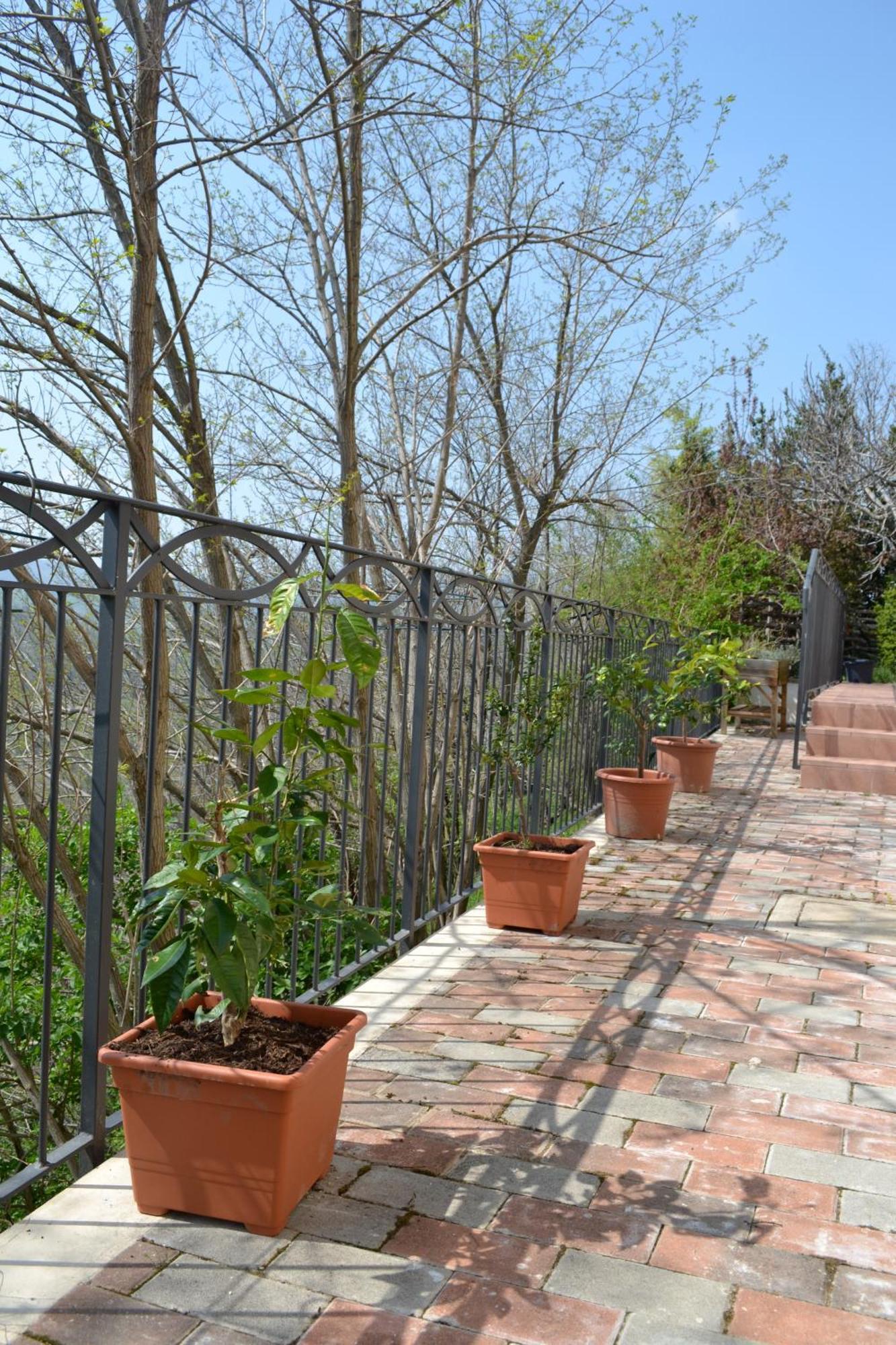 B&B Cà Biocco Sogliano al Rubicone Exterior foto